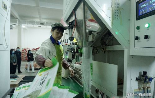 在梅州过年，肉菜管够——春节期间梅州农产品供给保障稳稳的